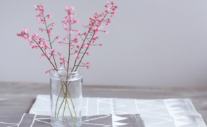 Photos-blog-Feve-3-300x185