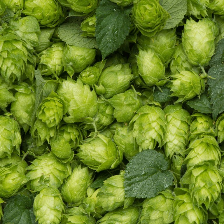 Untitled-design-17-768x768-1