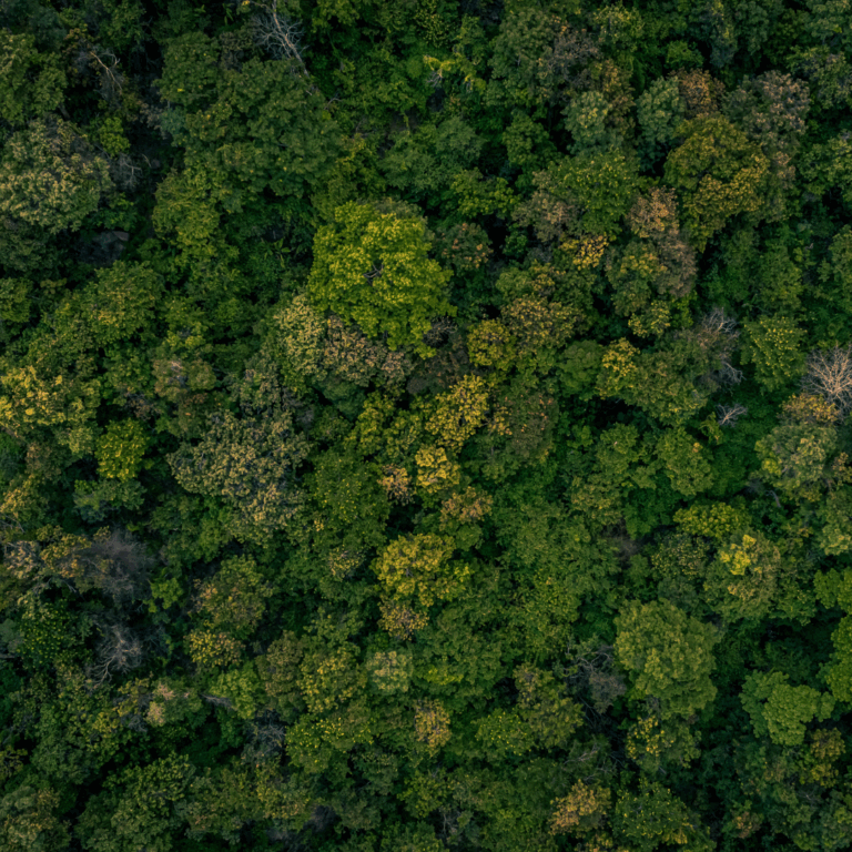 Untitled-design-24-768x768-1