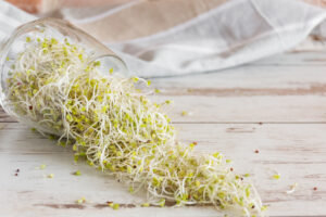 shutterstock_1490801861-2-300x200